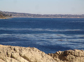 Enlarge photo 64