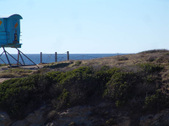 Enlarge photo 70