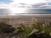 Enlarge photo 28