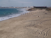 Enlarge photo 42