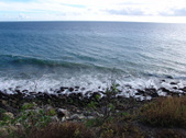 Enlarge photo 54