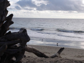 Enlarge photo 15