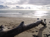 Enlarge photo 32