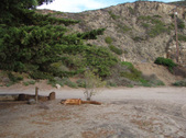Enlarge photo 33