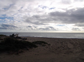 Enlarge photo 35