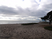 Enlarge photo 36