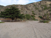 Enlarge photo 40