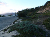 Enlarge photo 39