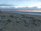 Enlarge photo 51