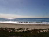 Enlarge photo 49