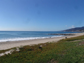 Enlarge photo 50