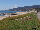 Enlarge photo 53