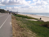 Enlarge photo 55