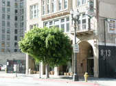 Enlarge photo 31