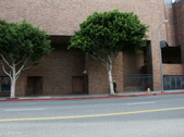 Enlarge photo 35