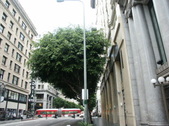 Enlarge photo 28