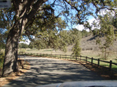 CHESEBRO ROAD