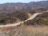 Enlarge photo 78