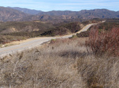 Enlarge photo 80