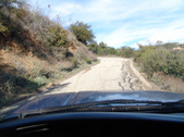 Enlarge photo 43