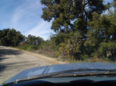Enlarge photo 44