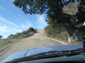 Enlarge photo 46