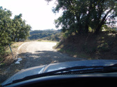 Enlarge photo 65
