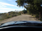 Enlarge photo 93
