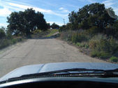 Enlarge photo 98
