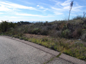 Enlarge photo 104