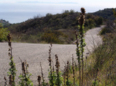 Enlarge photo 106