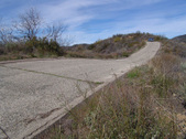 Enlarge photo 107