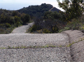Enlarge photo 110
