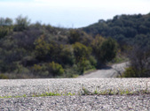 Enlarge photo 111