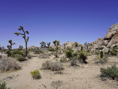 Enlarge photo 17