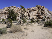 Enlarge photo 19