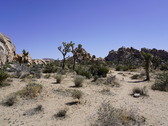 Enlarge photo 18