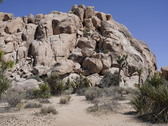 Enlarge photo 21