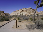 Enlarge photo 33