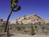 Enlarge photo 38