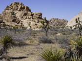 Enlarge photo 40