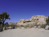 Enlarge photo 41