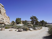 Enlarge photo 43