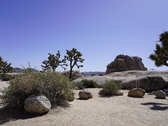 Enlarge photo 44