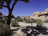 Enlarge photo 49