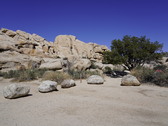 Enlarge photo 50