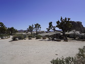 Enlarge photo 52