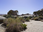 Enlarge photo 62