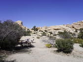 Enlarge photo 73