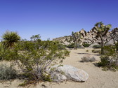 Enlarge photo 77